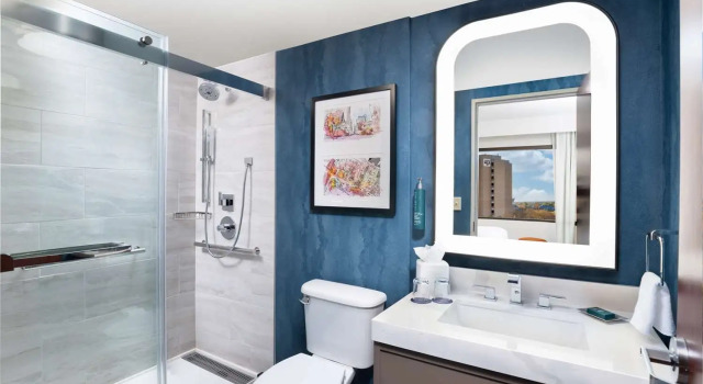 Двухместный номер DoubleTree by Hilton Houston Medical Center Hotel & Suites