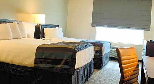 Четырёхместный номер Standard Wingate by Wyndham Wilmington