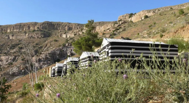 Тент Wild Dana Eco Lodge- Hotel-Eco-Camp