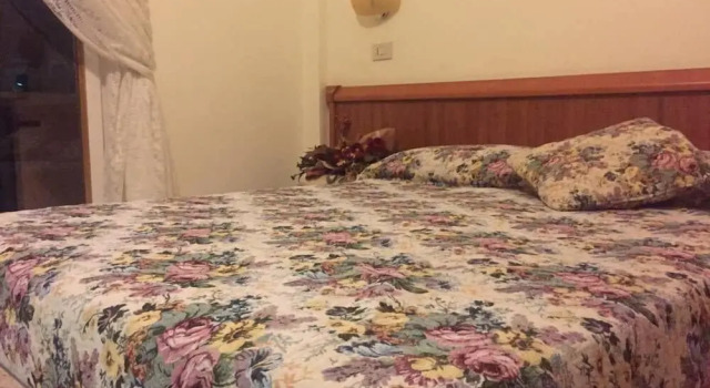 Двухместный номер Standard Hotel Viola
