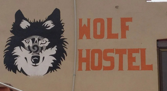 Wolf Hostel, Book Hostel / Vandrerhjem Hostels i La Paz Region, Hostel / Vandrerhjem