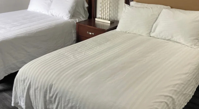 Четырёхместный номер Standard Elker Inn & Suites