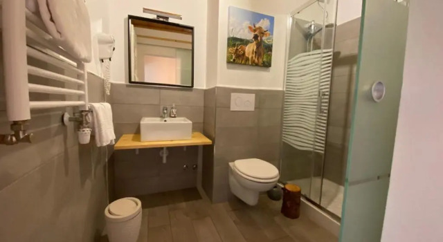Номер Standard Hotel Almhof
