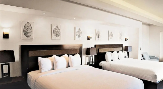 Номер Standard Пентхаус с 2 комнатами Hotel Boutique Valle de Guadalupe & Spa