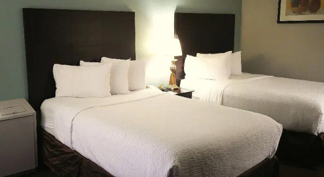 Четырёхместный номер Standard Wyndham Garden Detroit Metro Airport