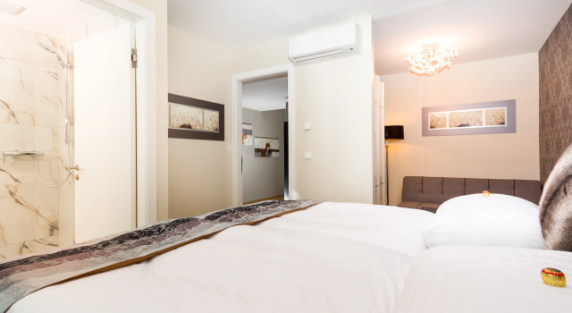 Люкс Comfort c 1 комнатой VotivPark Vienna Serviced Apartments