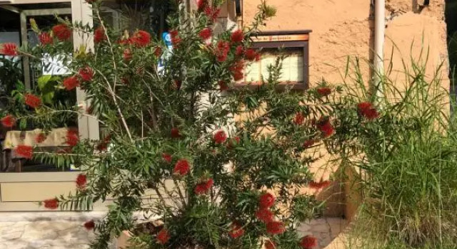 auberge de pachoquin