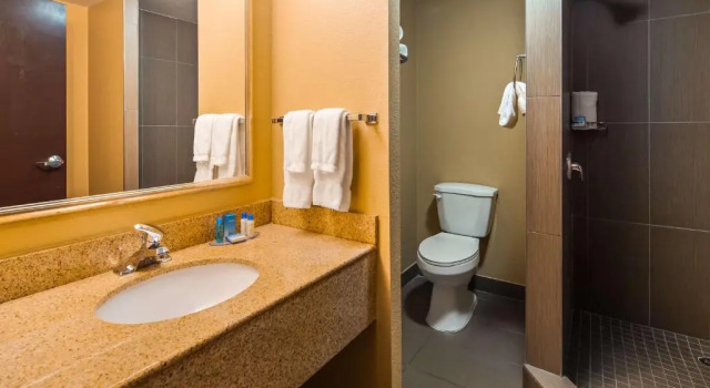Номер Standard Best Western Plus Atlanta Airport East