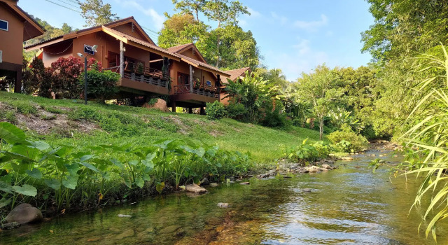 Бунгало Khaosok Rainforest Resort
