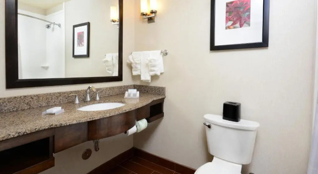 Двухместный номер Premium Hilton Garden Inn Greensboro Airport