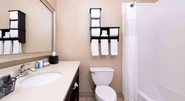 Четырёхместный номер Deluxe Hampton Inn Gadsden