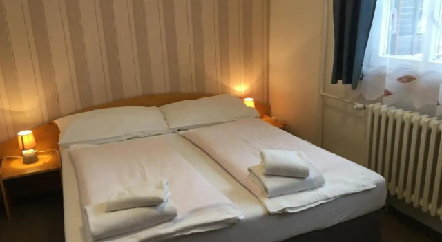 Двухместный номер Standard Hotel Tři Růže
