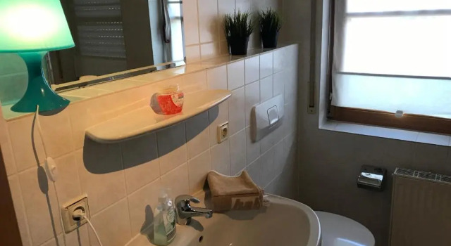 Апартаменты с балконом Monteure Apartment Roxheim