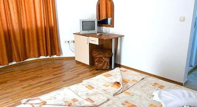 Detelini