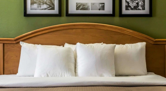 Двухместный номер Standard Baymont by Wyndham Slidell
