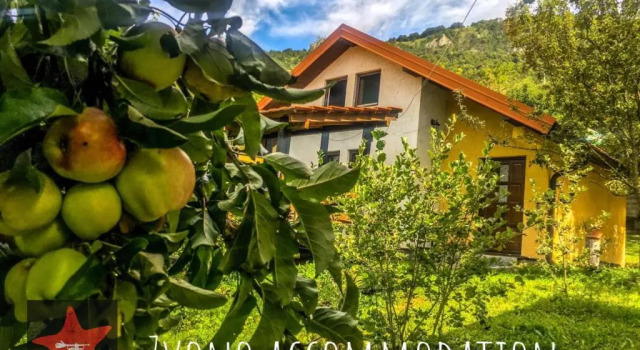 Четырёхместный номер Standard Guesthouse Zvono