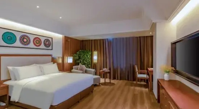 Полулюкс Deluxe Qomo Langzong Hotel