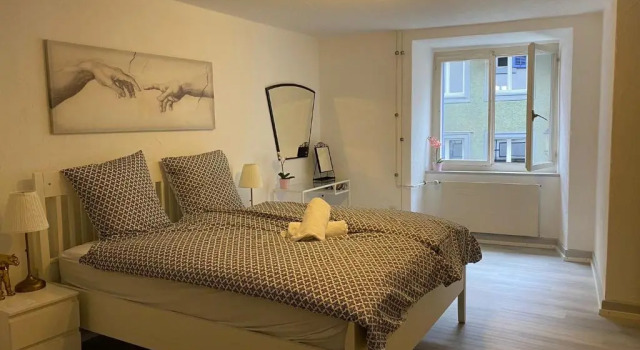 Private Apartment 20 min to Zurich