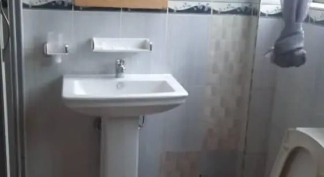 Номер Standard Hotel Green