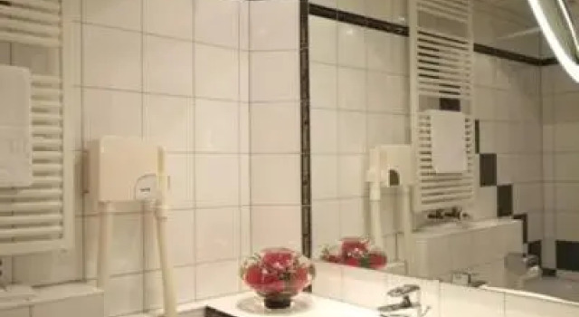 Номер Standard Hotel Riegeler Hof