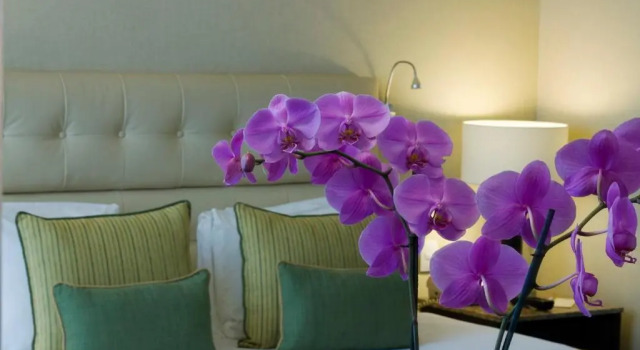 Двухместный номер Deluxe Hotel Marquis Reforma