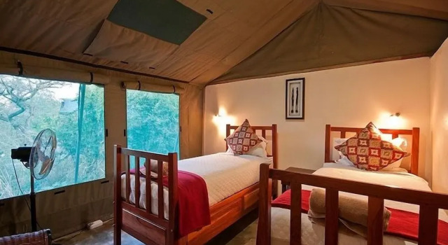 Familie cort Elephant Valley Lodge