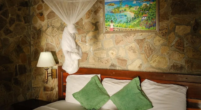 Номер Deluxe Frangipani Hotel