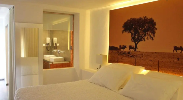 Двухместный номер Standard Sesmarias Turismo Rural & SPA