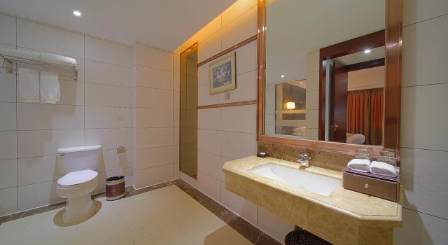 Номер Deluxe Berman Hotel