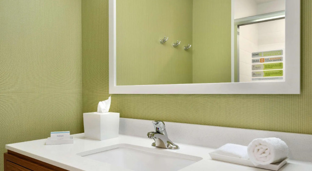 Двухместный люкс Home2 Suites By Hilton Baton Rouge