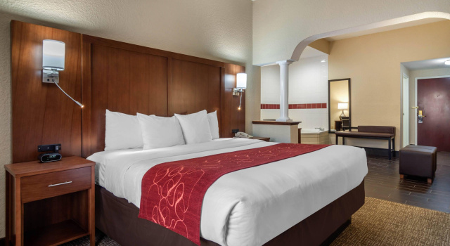 Двухместный люкс Comfort Suites Woodstock - Atlanta North