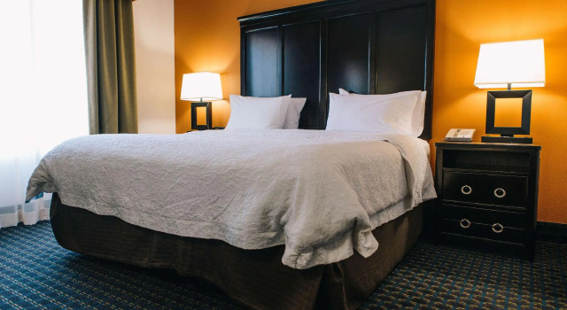 Двухместный номер Standard Hampton Inn & Suites Effingham