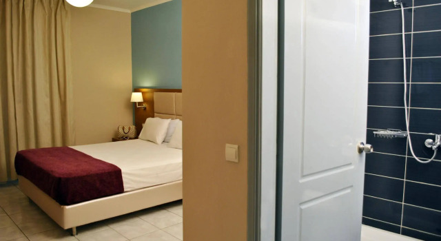 Hotel Plessas Palace