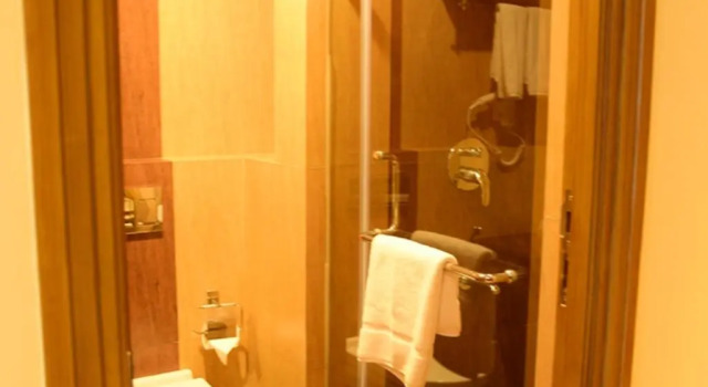 Номер Deluxe Regenta Central Herald Mysore