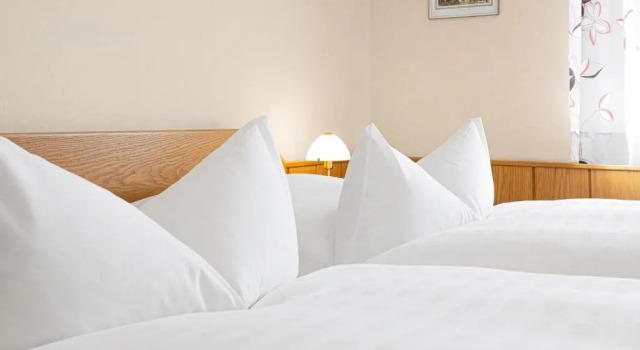 Двухместный номер Standard Gästehaus Prinzregent Luitpold