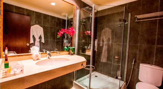 Двухместный номер Standard Mikhaels Hotel