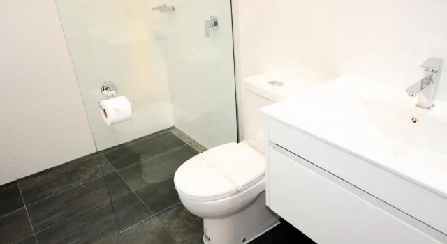Номер Standard Tropicana Motor Inn