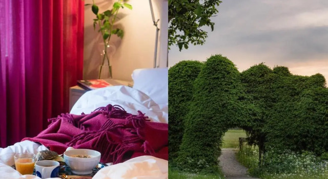 Одноместный номер Standard Ytterjärna Hotell & Konferens