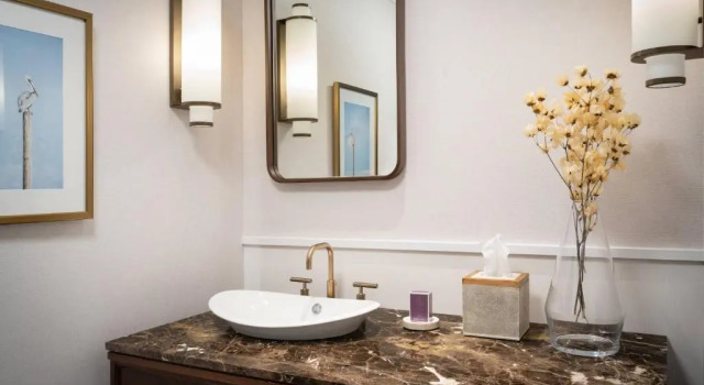 Двухместный люкс Executive с видом на озеро The Ritz-Carlton Orlando, Grande Lakes