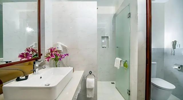 Номер Deluxe Borei Angkor Resort & Spa