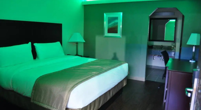 Номер Standard Trinity Suites Downtown Dallas