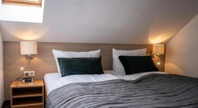 Двухместный номер Standard Дуплекс Hotel & Restaurant Am Alten Rhin