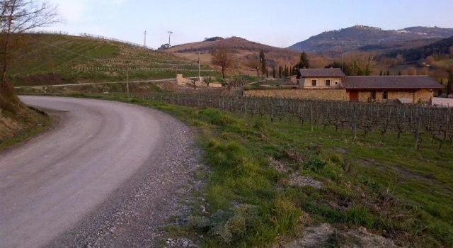 Апартаменты c 1 комнатой Azienda Agricola A Bonacchi