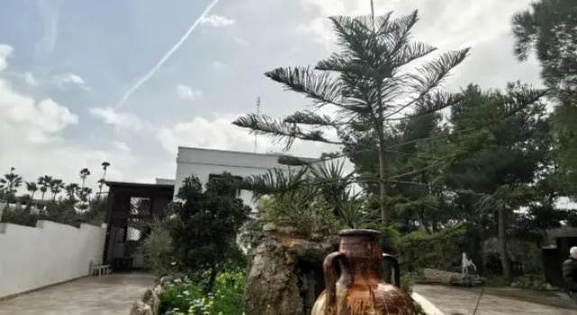La Casa Nella Pineta - Gallipoli