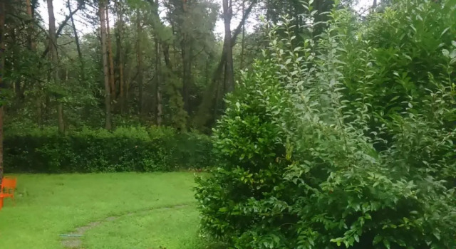 Номер Standard l'oasi nel bosco
