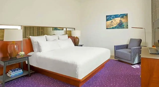 Двухместный люкс Deluxe c 1 комнатой с видом на город The Untitled Nashville Hotel, Tapestry Collection by Hilton