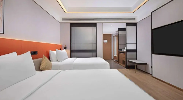 Двухместный номер Standard Hilton Garden Inn Leshan Shizhong