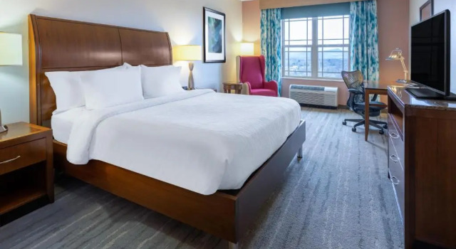 Двухместный номер Premium Hilton Garden Inn Roanoke