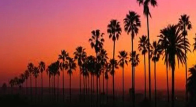 Апартаменты с 2 комнатами Venice Beach Apartments Monthly rents