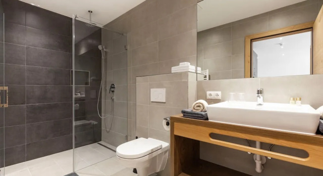 Люкс Цокольный этаж Lerch Suites
